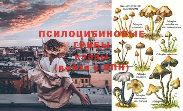 не бодяженный Михайловск